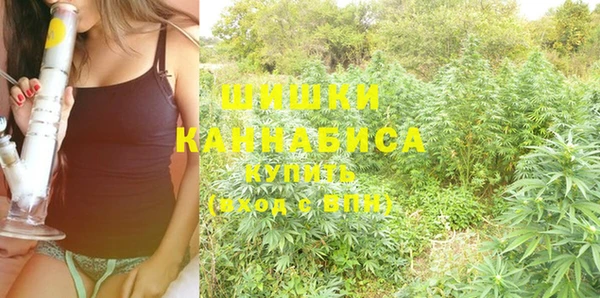 гидра Балахна