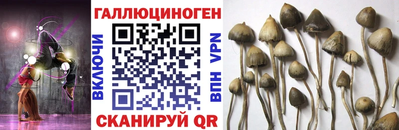 Псилоцибиновые грибы MAGIC MUSHROOMS  Горячий Ключ 